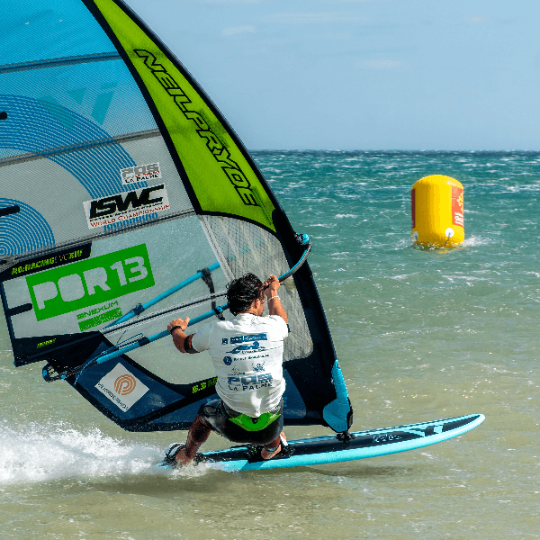 Martim Monteiro profile image