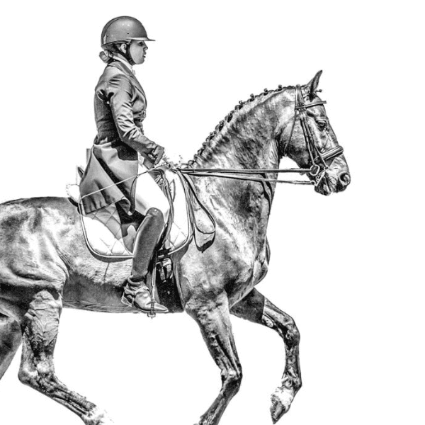 Shannon Fogden profile image