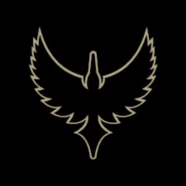 Solent Thrashers profile image