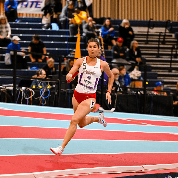 Elisa Rovere profile image