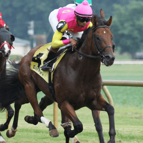 Charles McMahon profile image