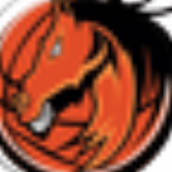 Minnesota Broncos profile photo