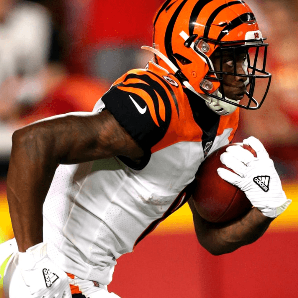 Stanley Morgan Jr. profile image