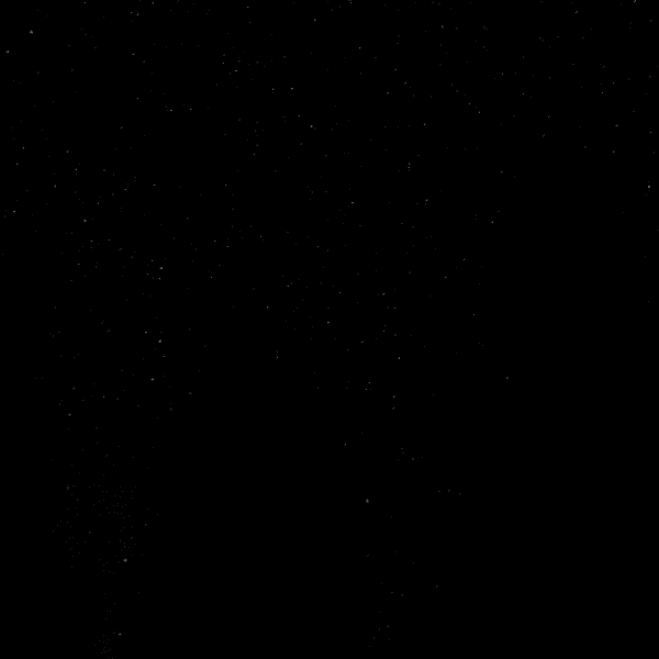 Alicia Ramos profile image