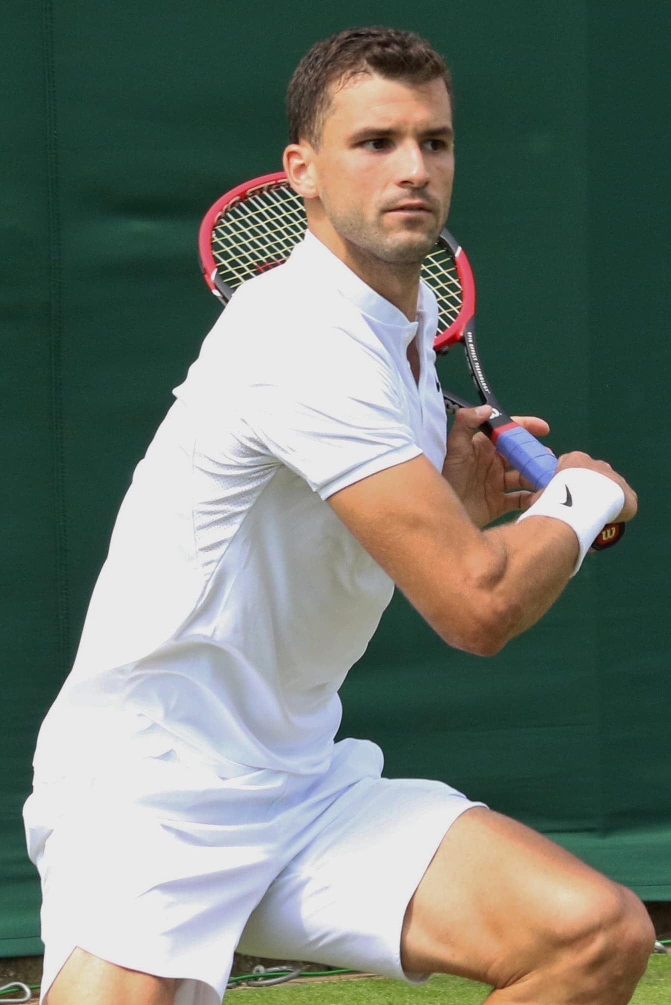 Grigor Dimitrov profile photo