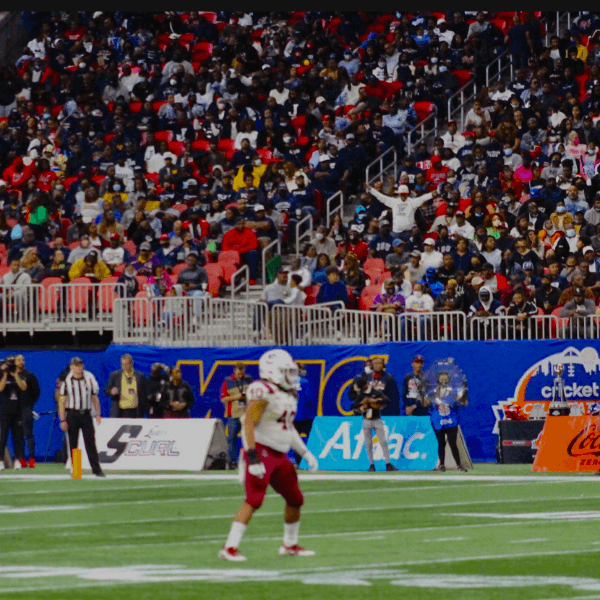 Vladmire Haynes profile image