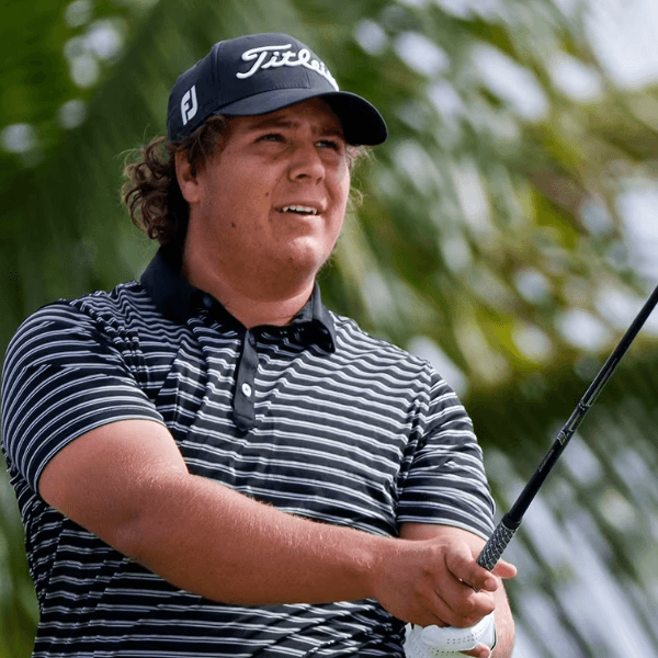 Aldrich Potgieter profile image