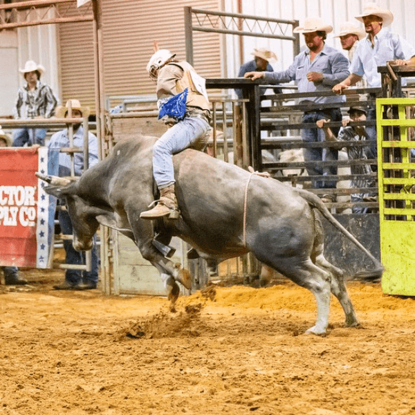 Hunter Hall profile photo