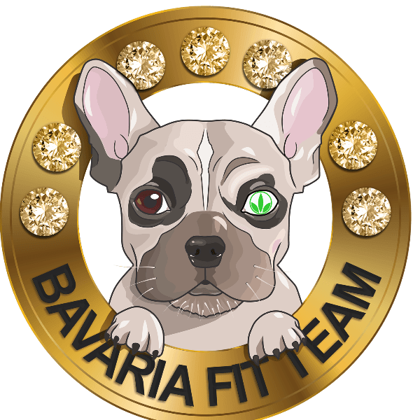 Bavaria Fit Team profile image
