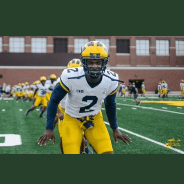 Brad Hawkins profile image