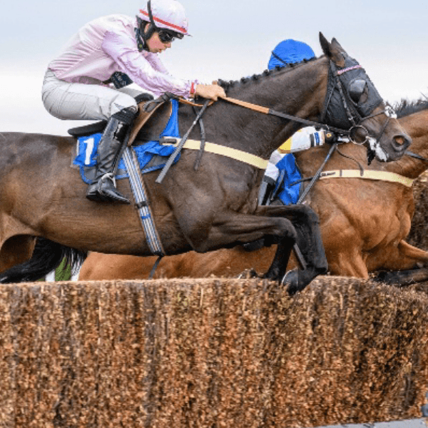 Jason Dixon profile photo