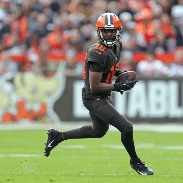 David Bell profile image