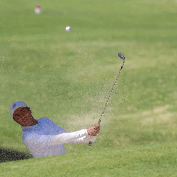 Julio Arronte profile image