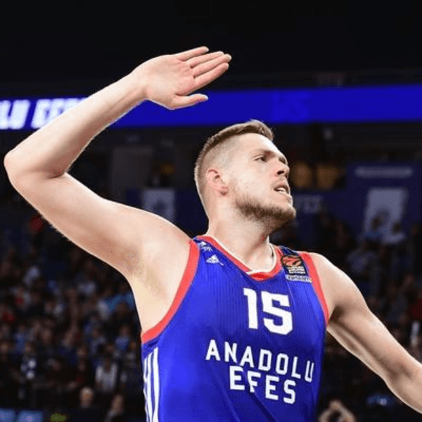 Vladimir Stimac profile image