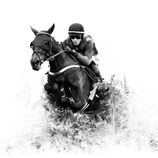 Freddie Procter profile photo