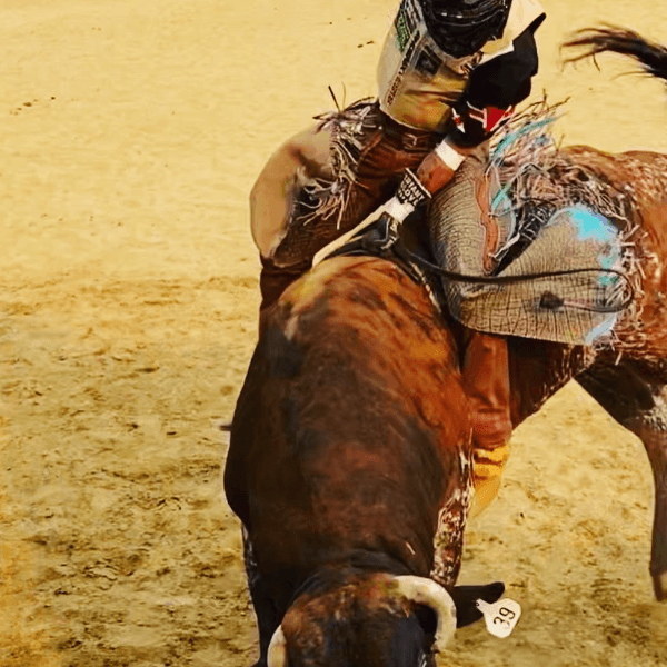 Michael Babcock profile photo