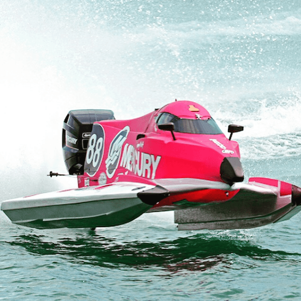 Tammy Wolf profile image