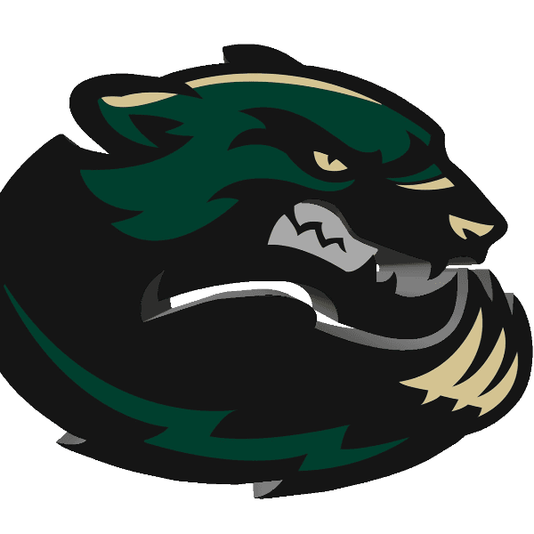 DC WOLVERINES profile photo