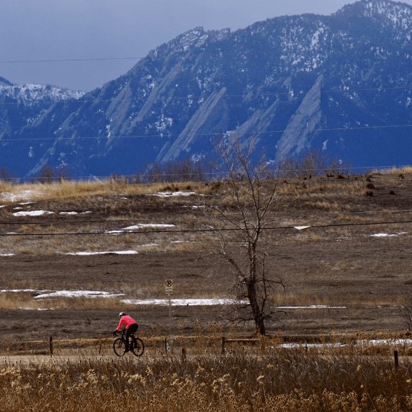 Without Limits Productions profile photo