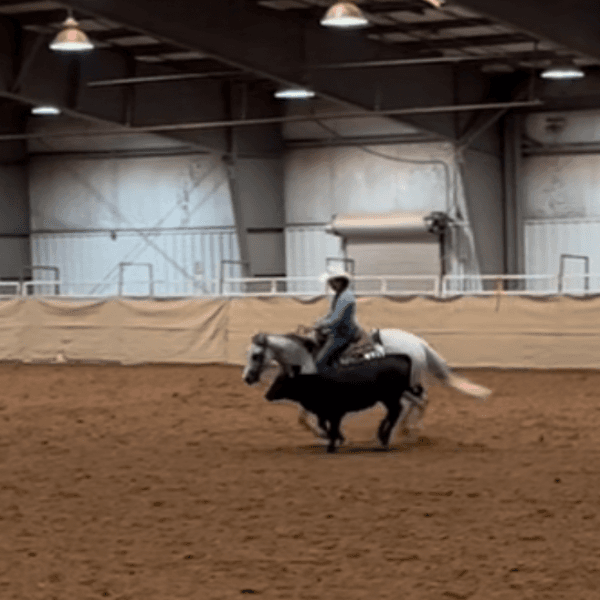 Christina Butler profile photo