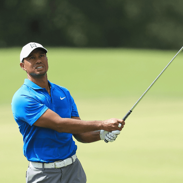 Tiger Woods profile photo