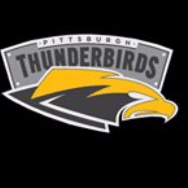 pittsburgh Thunderbirds profile image