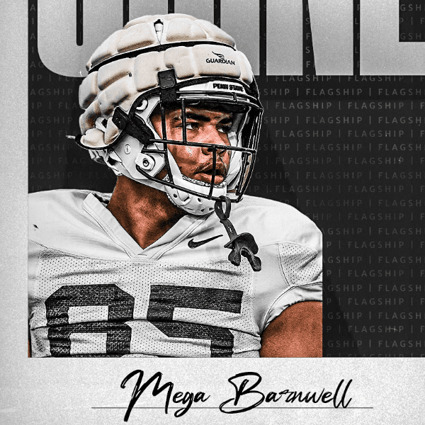 Mega Barnwell profile image