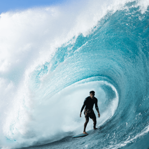 Shayden Pacarro profile photo