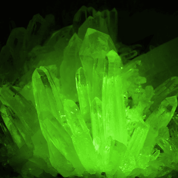 Kryptonite profile photo