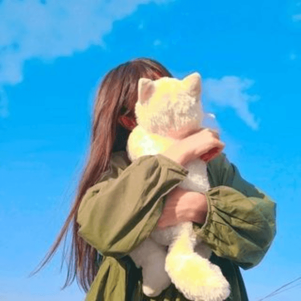 Haider Ali profile image