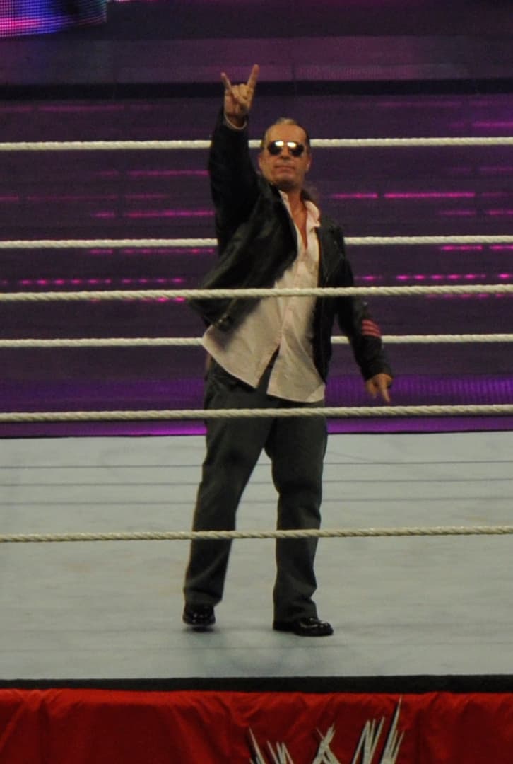 Bret Hart profile image