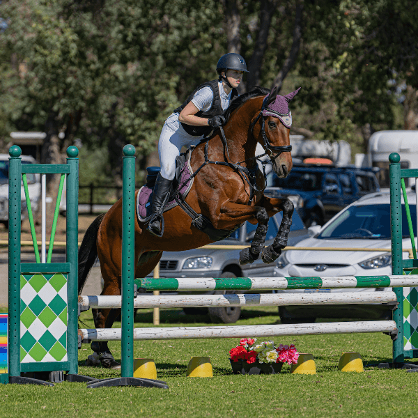 Ashlyn Farrington profile image