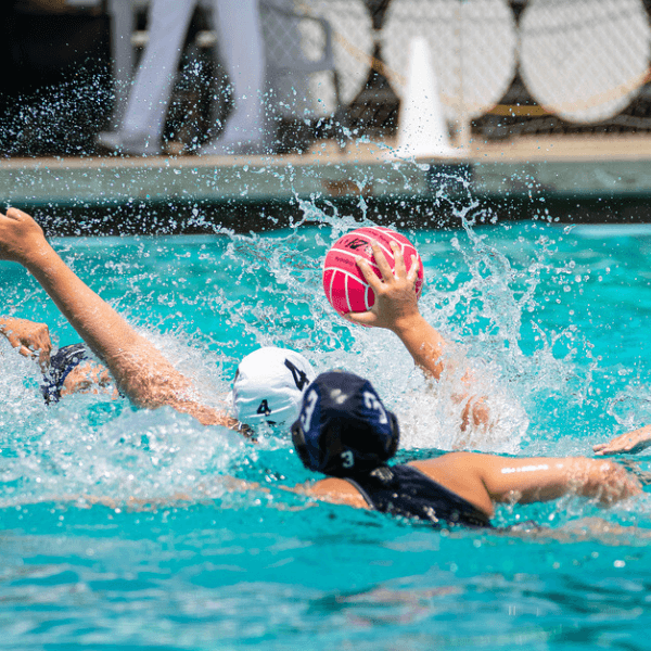 Vanessa McNabb profile image