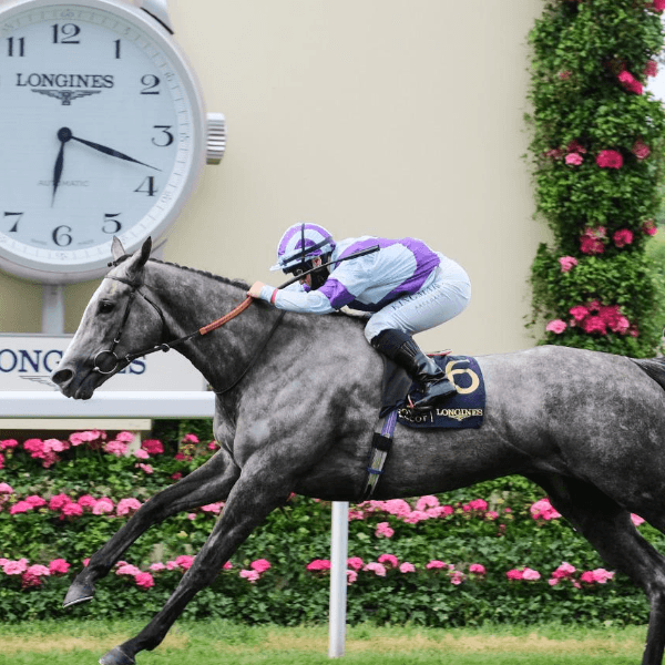 laura pearson profile image