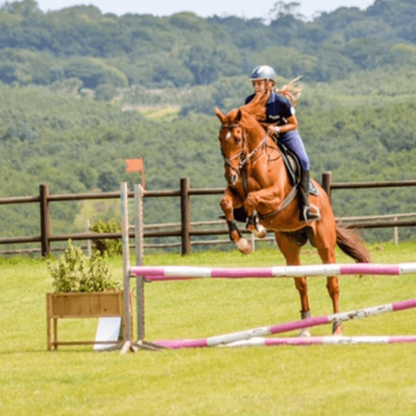 Erin Sharples profile photo