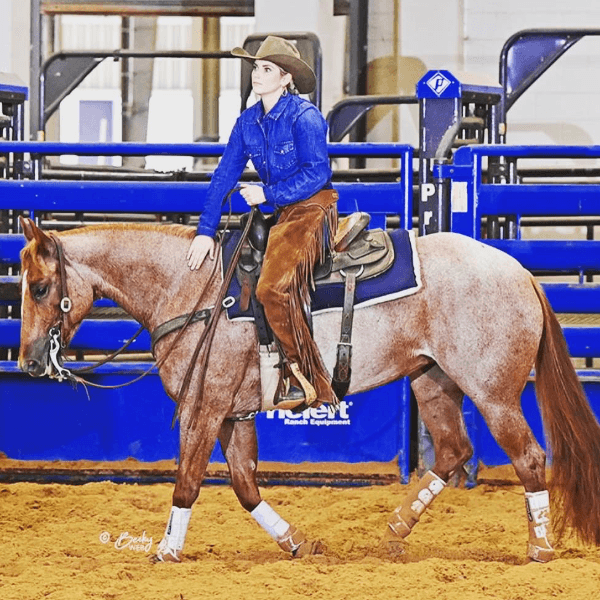 Jaycie Davison profile image