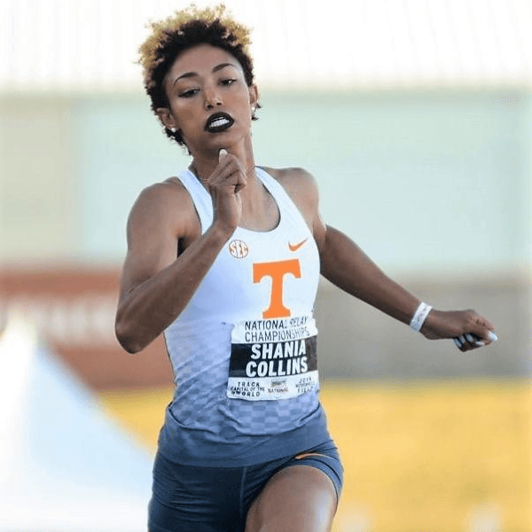 Shania Collins profile image