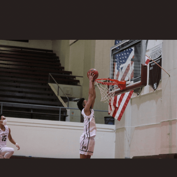 Will Mathews profile image