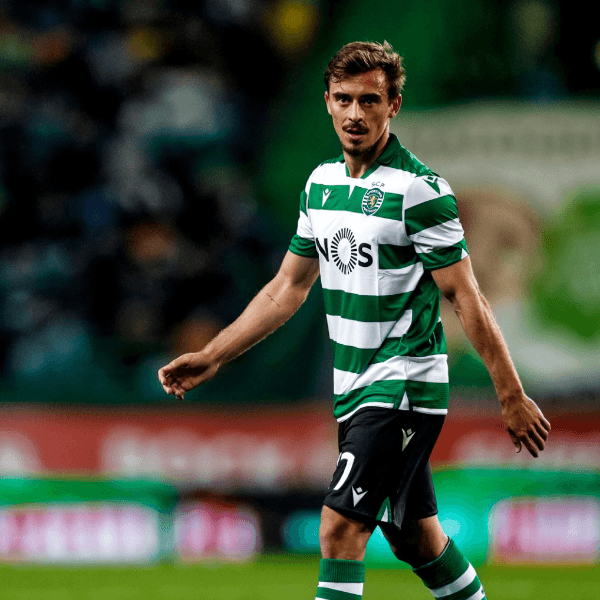 Francisco Geraldes profile image