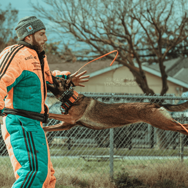 Corey Pandorf profile image