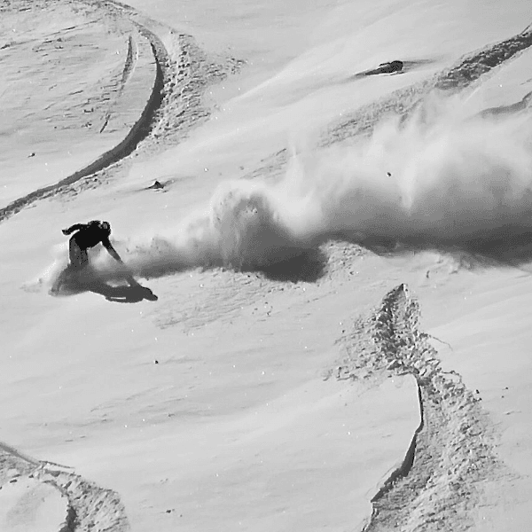 lance dellipaoli profile image