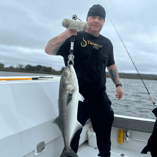 Rob Anselmo profile image