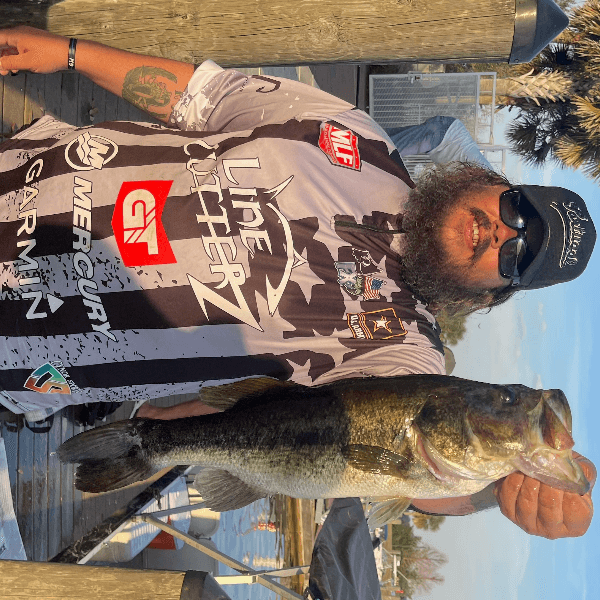 Michael Johns profile photo