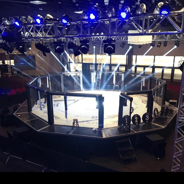 Future Fc MMA profile image