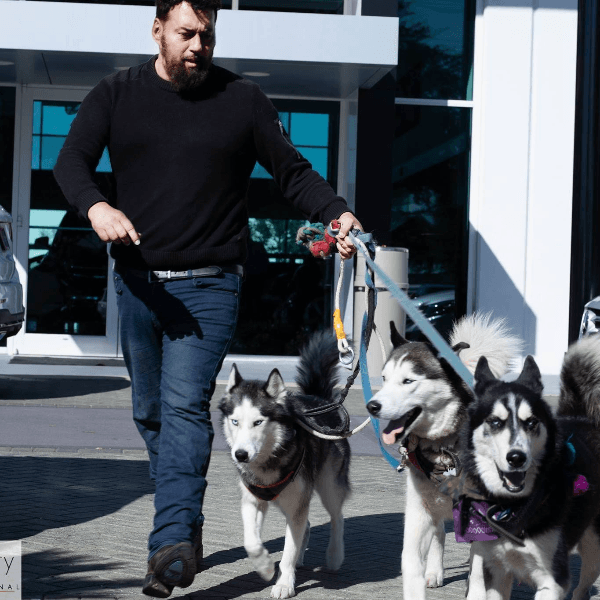 Victor Quinteros profile image