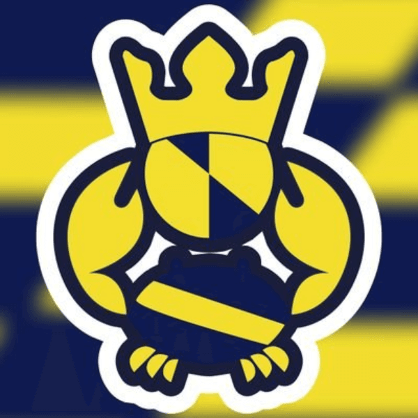 Baltimore Kings Pro Soccer profile image