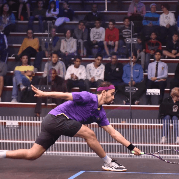 shady el sherbiny profile image