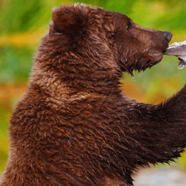 Skret ron profile photo