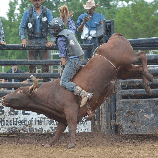 Jorden Halvorsen profile image