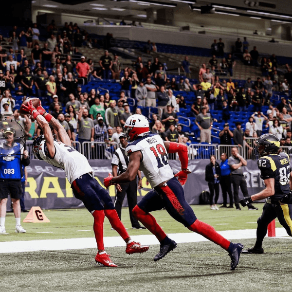 David Tolentino profile image